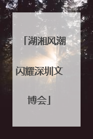 湖湘风潮闪耀深圳文博会